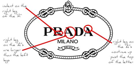 fake prada shorts|prada clothing logo.